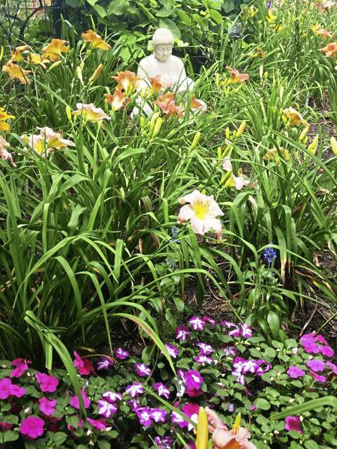 7568244_web1_naj-daylilysale-080124-2