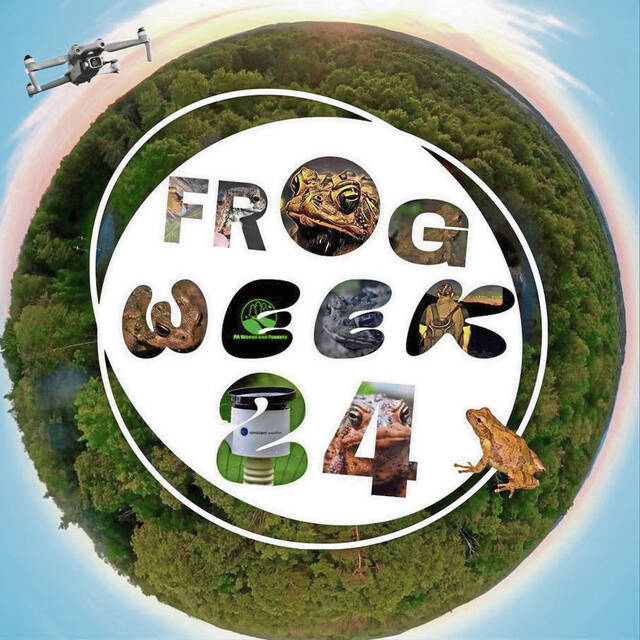7574813_web1_gtr-frogweek-072724