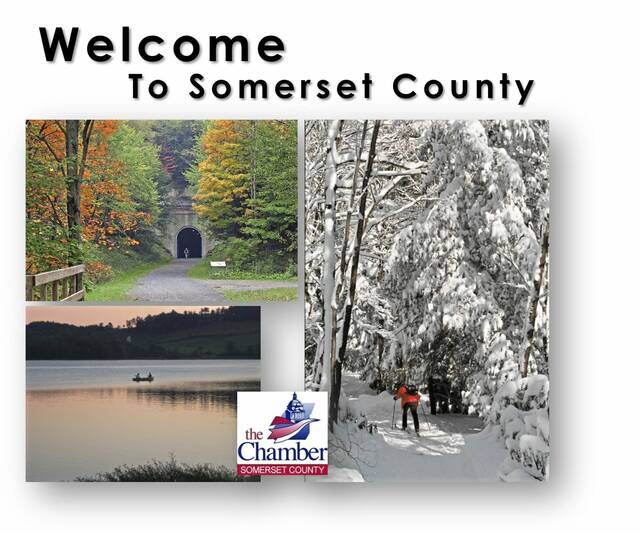7581766_web1_part-SomersetNativeSC-080124