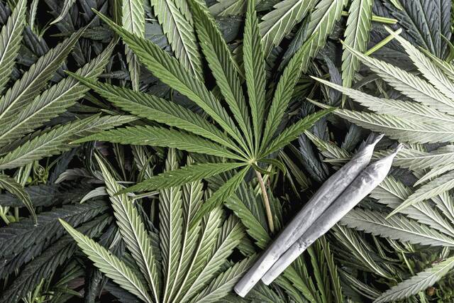 7597718_web1_marijuana