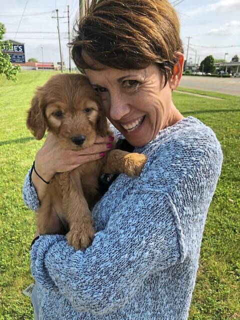 7598003_web1_hp-LaneyJudy-Puppy
