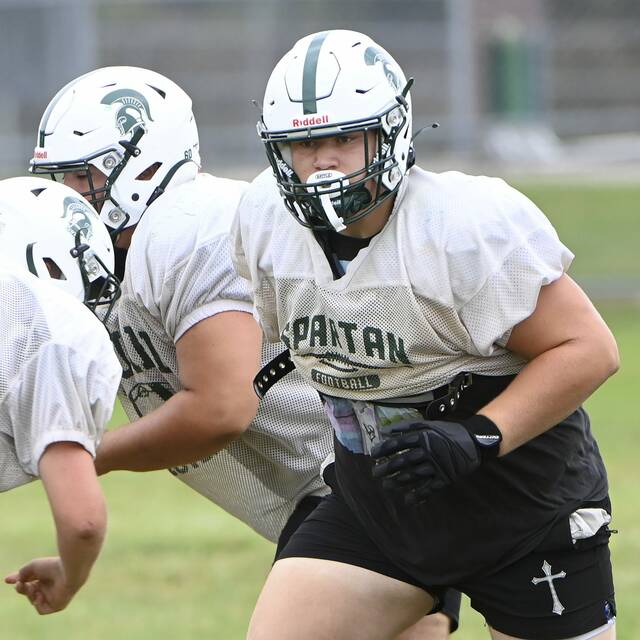 Offseason growth boosts expectations for Laurel