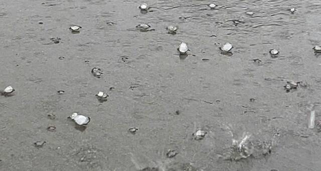 7607261_web1_vnd-hail-080724
