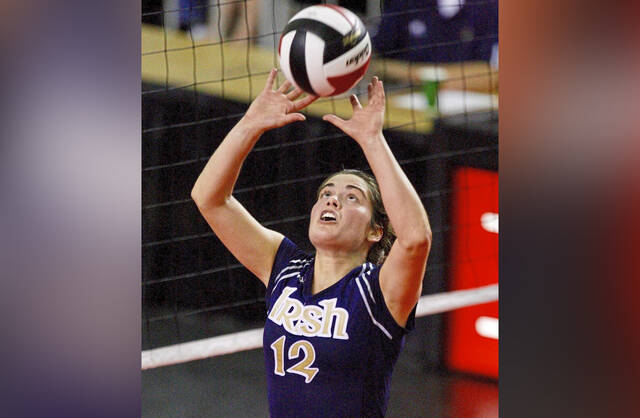 Volleyball star, WPIAL championship team headline Pine-Richland hall of fame class