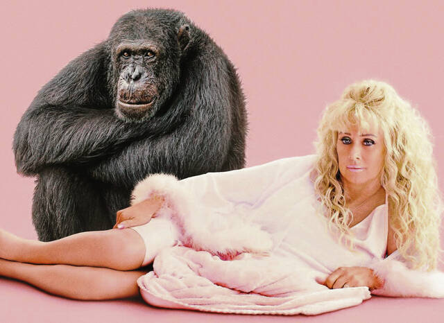7614365_web1_ptr-ViewingTip2-08182024-ChimpCrazy