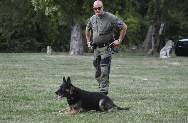 7625684_web1_gtr-PoliceDogPrograms002-081424