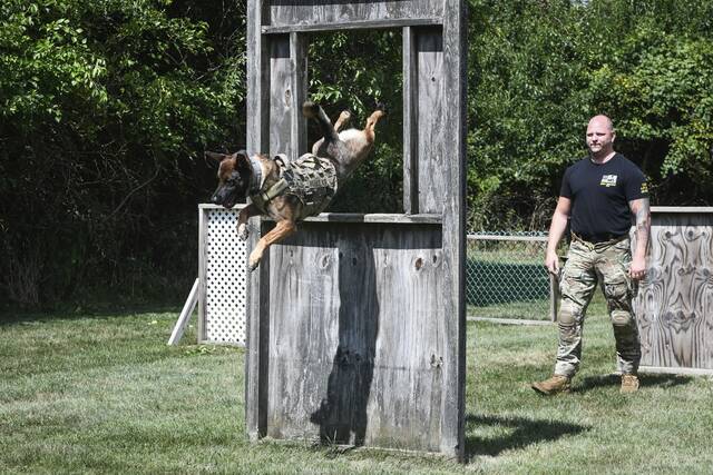7625684_web1_gtr-PoliceDogPrograms005-081424