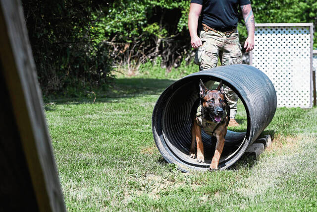 7625684_web1_gtr-PoliceDogPrograms006-081424