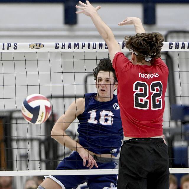 WPIAL approves new section alignments for spring sports in 2025, ’26 seasons