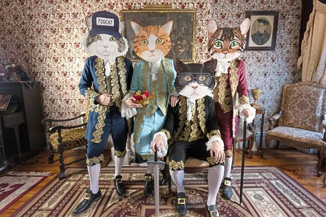 7632709_web1_ptr-FantasticCat-081524