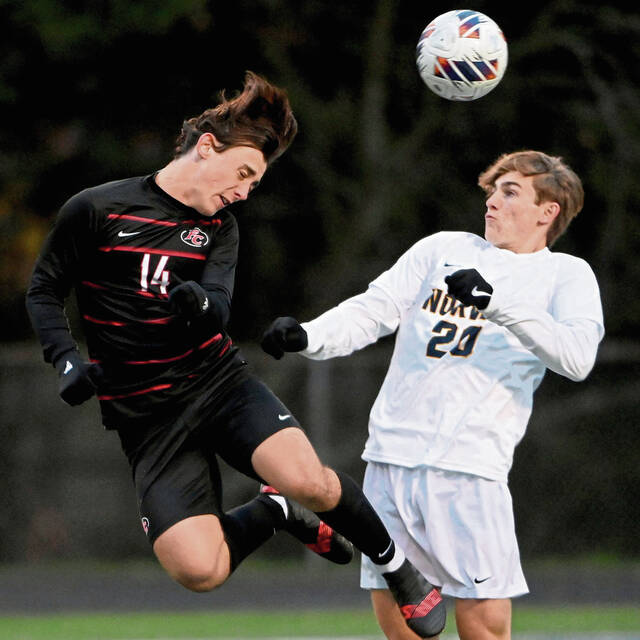 WPIAL boys soccer preview: Norwin, South Fayette, South Park, Bentworth out to defend titles