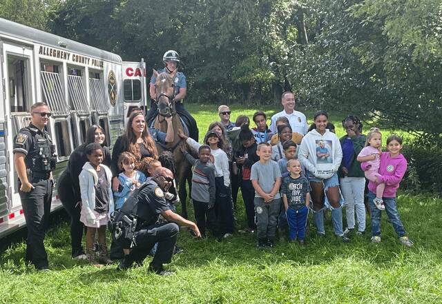 7655188_web1_vnd-lo-sheldonhorses1