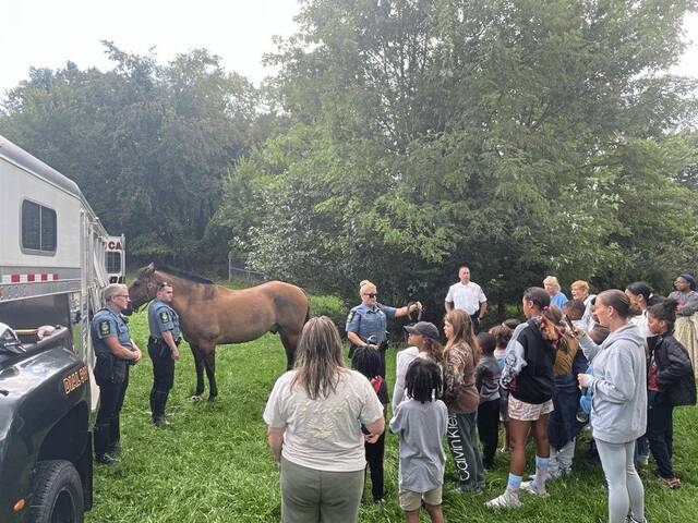 7655188_web1_vnd-lo-sheldonhorses3
