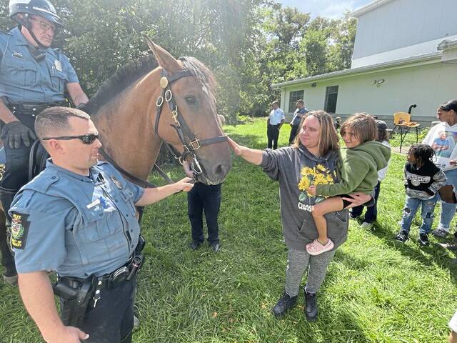 7655188_web1_vnd-lo-sheldonhorses4
