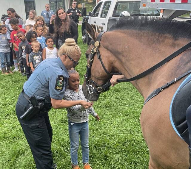 7655188_web1_vnd-lo-sheldonhorses5