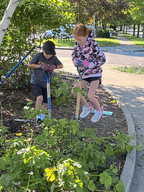 7657166_web1_SEW-ButterflyGarden2-082924