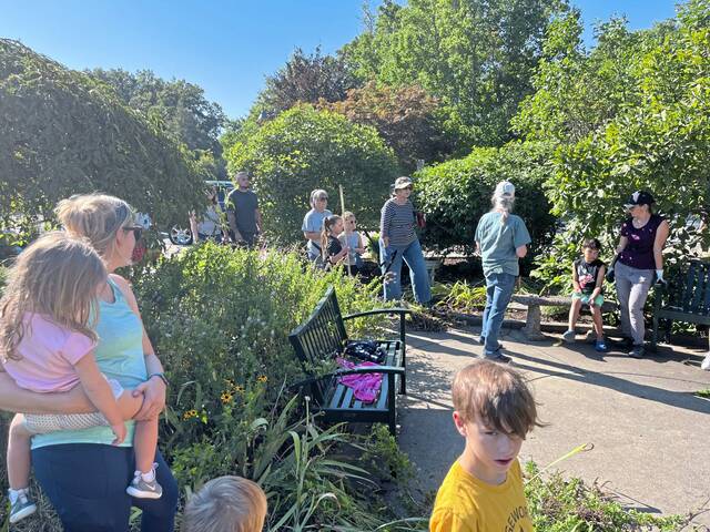 7657166_web1_SEW-ButterflyGarden4-082924