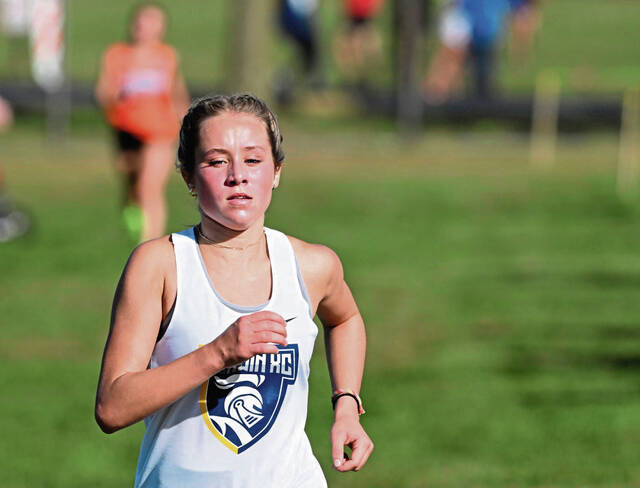 Norwin notebook: Junior takes cross country title