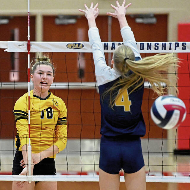 North Allegheny girls volleyball chasing 8th straight PIAA title