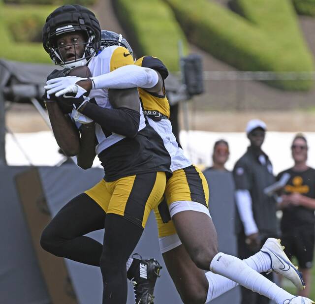 7686445_web1_ptr-Steelers14-081324