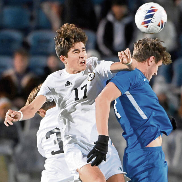 Sewickley Herald notebook: Quaker Valley athletes playing at college level