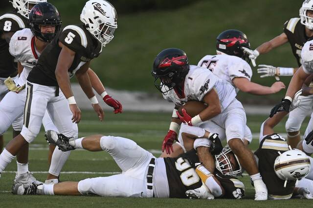 Dopey Birdie tries to bounce back from disastrous week of A-K Valley football picks