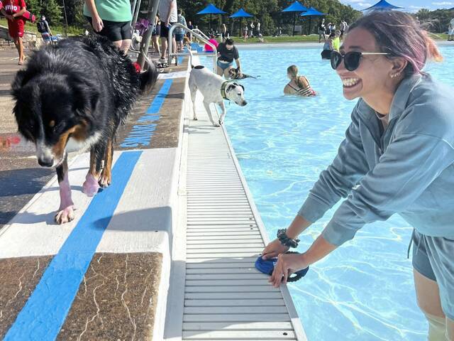 7694382_web1_naj-poochesinpools-091224-5