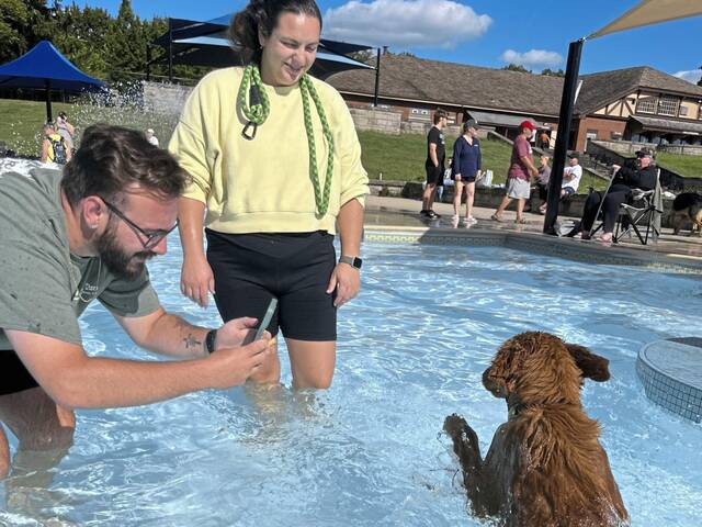 7694382_web1_naj-poochesinpools-091224-7