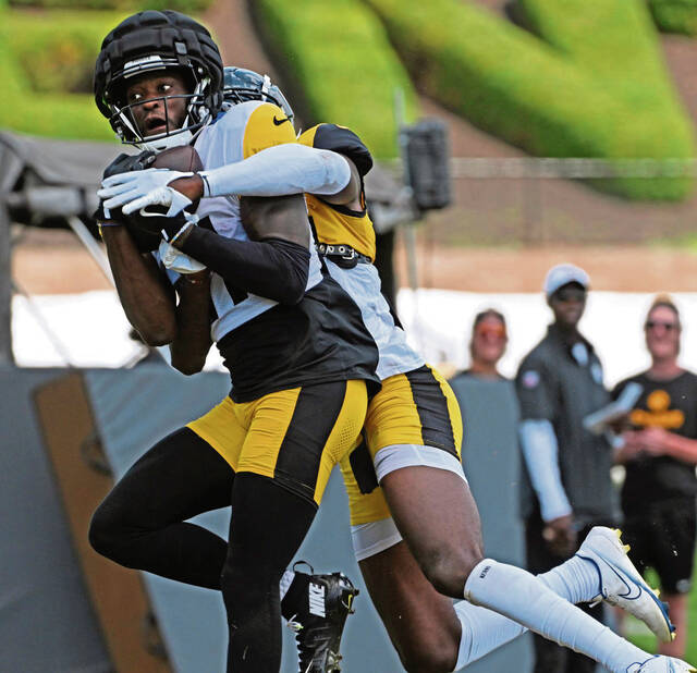 7694632_web1_ptr-Steelers14-081324