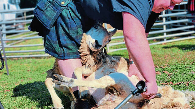 7700786_web1_gtr-HighlandGames4-091524