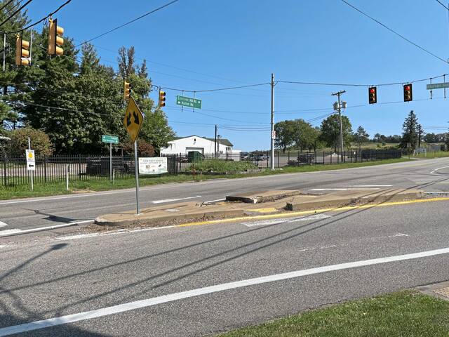 7700859_web1_vnd-plumgreenlightgo2-090624