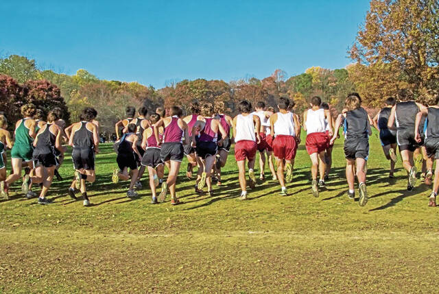 North Allegheny notebook: Tigers cross country teams off to strong start