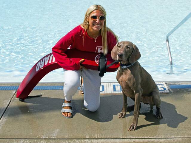 7714122_web1_hj-pooldogday-091924-7