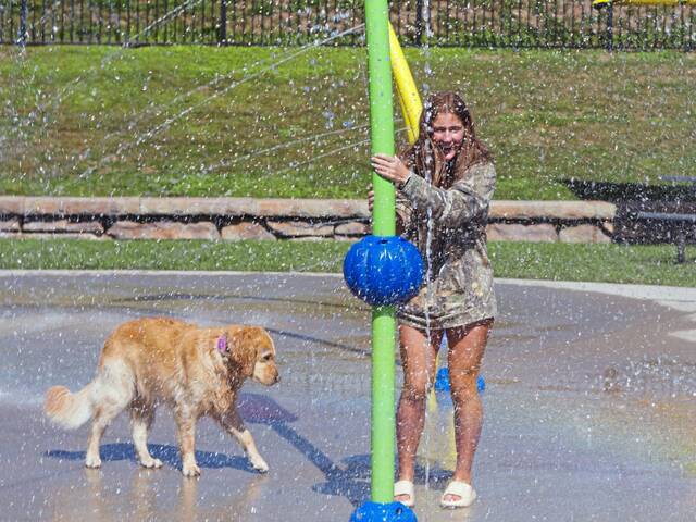 7714267_web1_pcj-dogday-091924-1