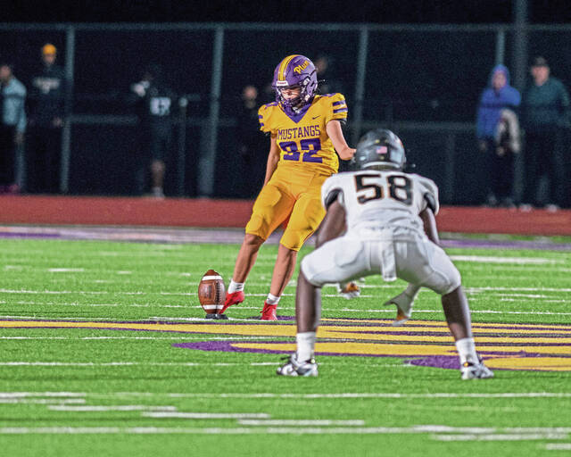 Kicking and screaming, The Birdie makes his Week 3 picks in the A-K Valley