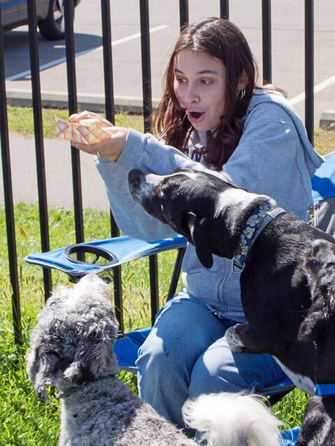7717074_web1_pcj-dogday-091924-2