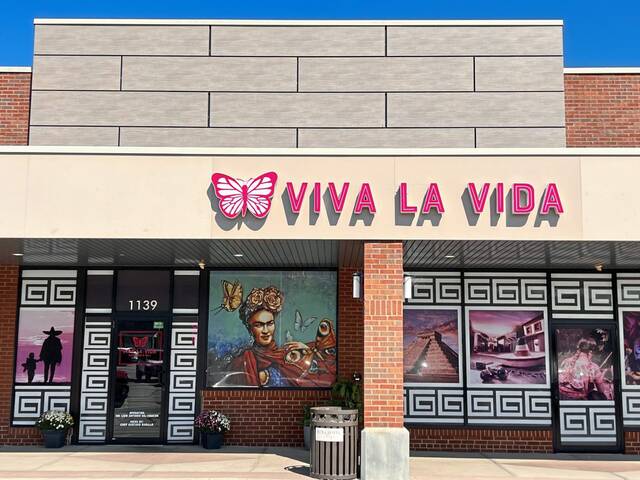 7717955_web1_ptr-VivaVida-091124-2