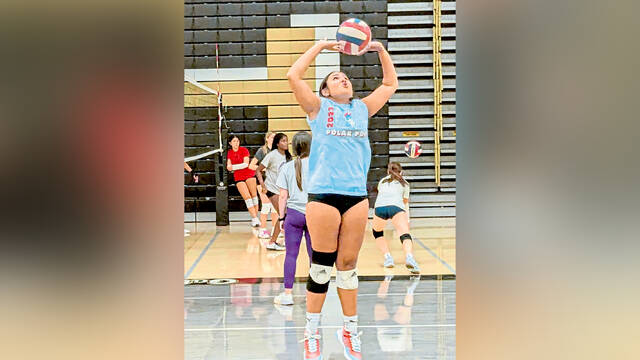 Gateway girls volleyball leans on large senior class under 1st-year coach