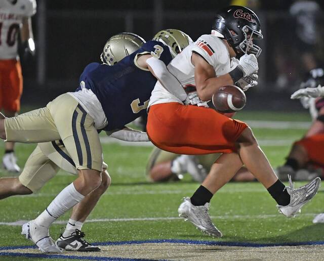 The Birdie out to build his brand with Westmoreland County Week 4 picks