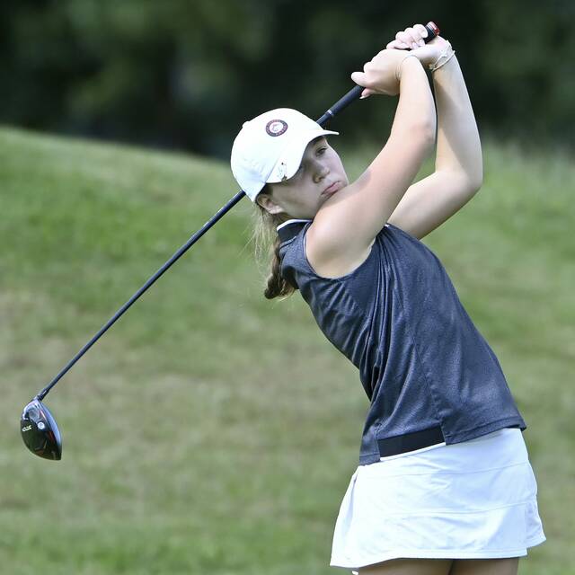 Fox Chapel notebook: Fox Chapel, Shady Side Academy golfers dot leaderboard