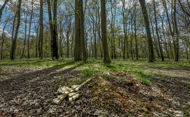 7749729_web1_vnd-greenburial102-050224
