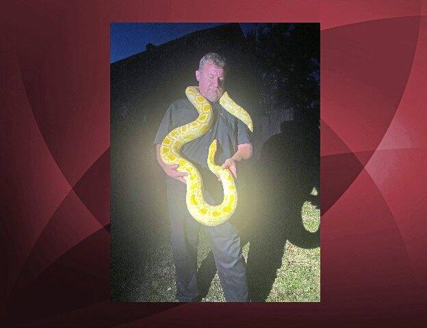 7752817_web1_PTR-McCandlessSnake-092024