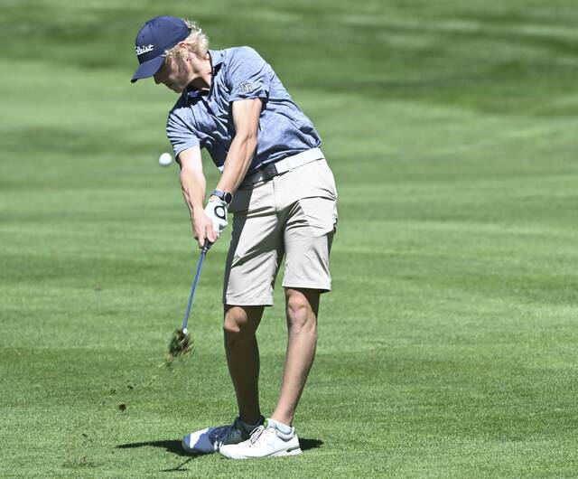 Westmoreland high school notebook: County players advance to WPIAL golf final round