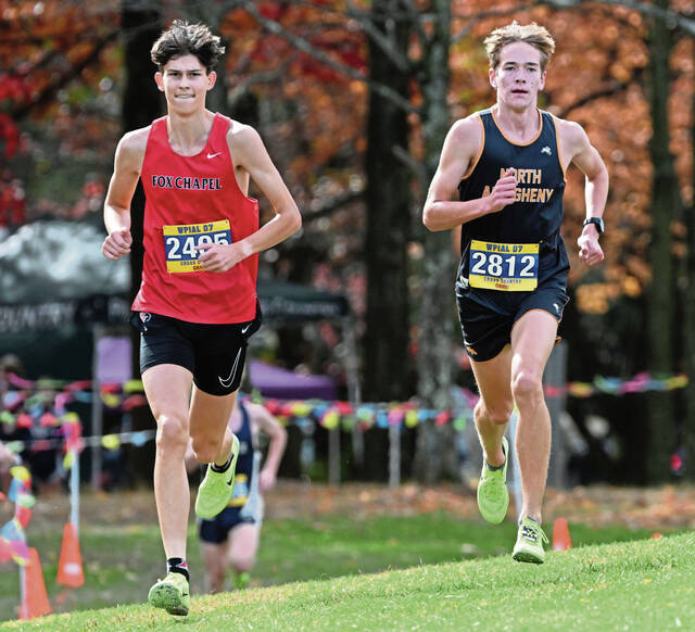 Behind crew of 1st-time starters, North Allegheny cross country teams leading the pack