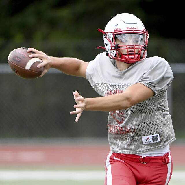 High school football roundup for Sept. 27, 2024: No. 4 Avonworth tops No. 3 Central Valley