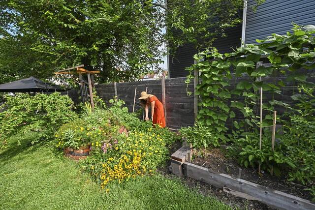 7651582_web1_PART-PhippsGardenHarris6