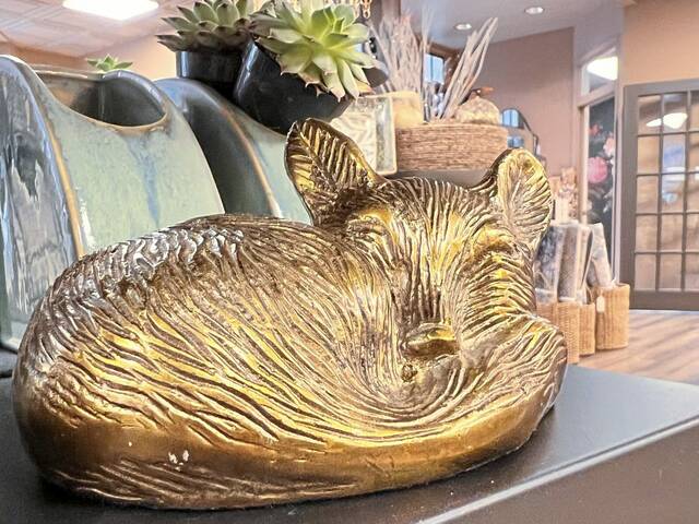 7772787_web1_sew-Homestore-101724-11
