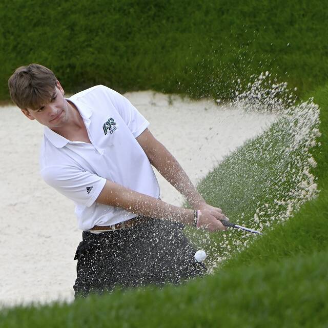 7784314_web1_ptr-WPIAL3AGolf06-100224