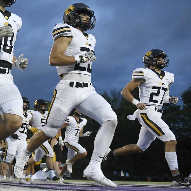 Langdon twins bring twice the toughness to North Allegheny linebacking corps