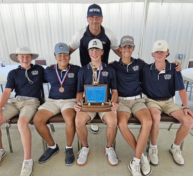 Up and down year for Kiski Area boys golf ends just short of team playoffs
